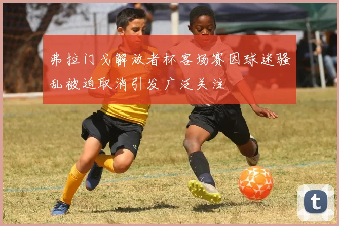 弗拉门戈解放者杯客场赛因球迷骚乱被迫取消引发广泛关注